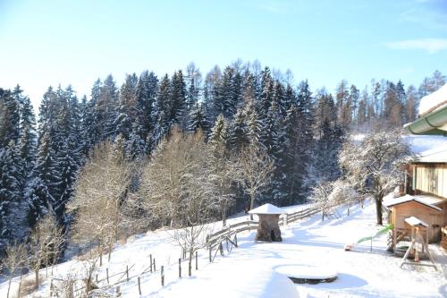 a snow covered yard with a house and trees at ERLEBNISBAUERNHOF Steinerhof in Kärnten in Liebenfels