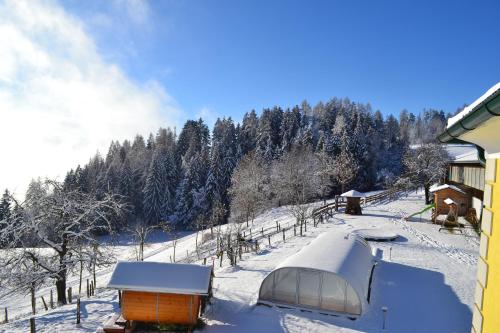 a snow covered yard with a tent and trees at ERLEBNISBAUERNHOF Steinerhof in Kärnten in Liebenfels