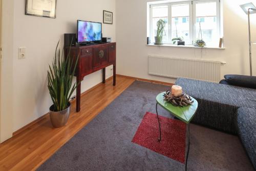 een woonkamer met een bank en een tv bij Ferienwohnungen Apartements Buddestrasse Daberstedt in Erfurt