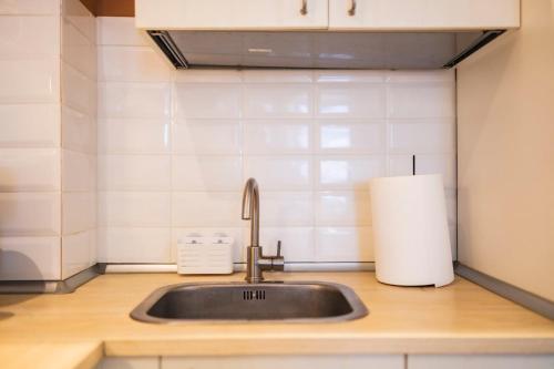 a kitchen counter with a sink and a roll of paper towels at Seyra Olive Studio in Ştefăneştii de Sus