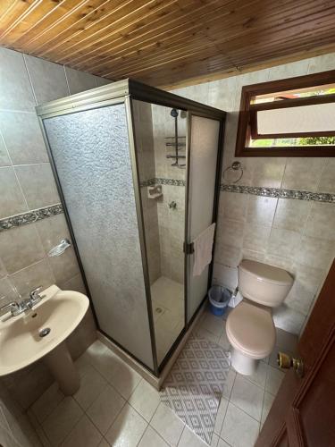 a bathroom with a shower and a toilet and a sink at La muñeca Chalet in Circasia