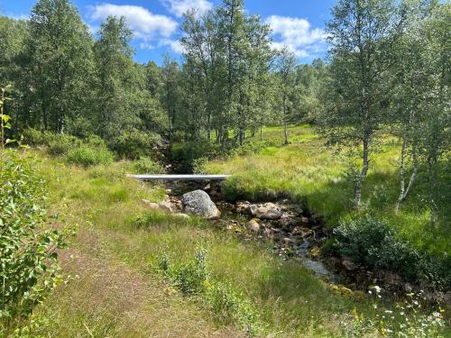 a bench sitting in the middle of a stream at Sirdal in Dirdal