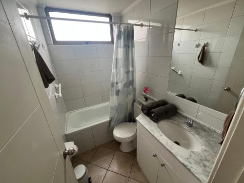 a bathroom with a sink and a toilet and a window at Habitaciones con C in Concepción