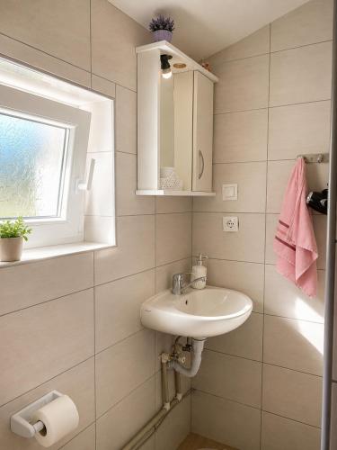 a bathroom with a sink and a window at Lola Guest House in Vusanje