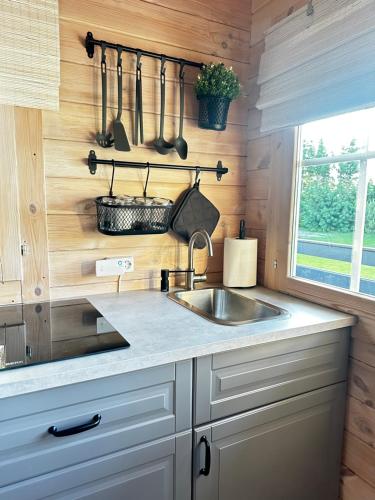 a kitchen with a sink and a wooden wall at Kregžlės slėnis in Skirlėnai