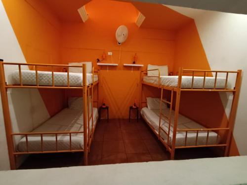 zwei Etagenbetten in einem Zimmer mit orangefarbener Decke in der Unterkunft Why Not Hotel in Antigua Guatemala