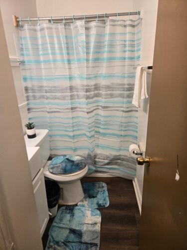 a bathroom with a toilet and a shower curtain at Cute and Cozy in Hermann I Heliport