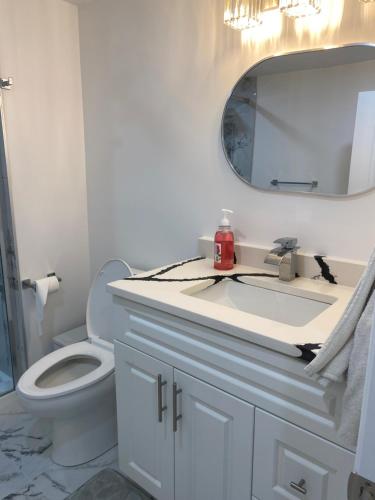 a bathroom with a white sink and a mirror at Cozy Private Basement Suite East Windsor in Windsor