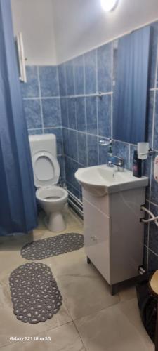 a blue tiled bathroom with a toilet and a sink at Remetea 292 in Remetea