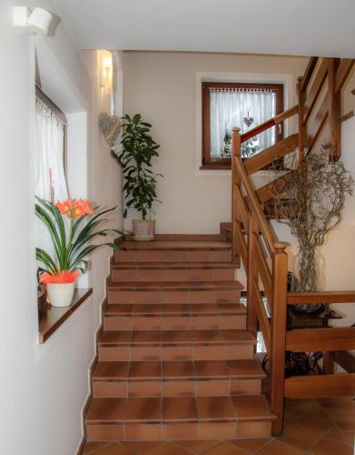 a staircase in a house with wooden floors and plants at Hotel Casa Alpina - Alpin Haus in Selva di Val Gardena
