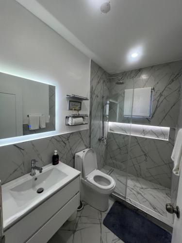 a bathroom with a toilet and a sink and a shower at Deluxe two 2 bedroom in Priory