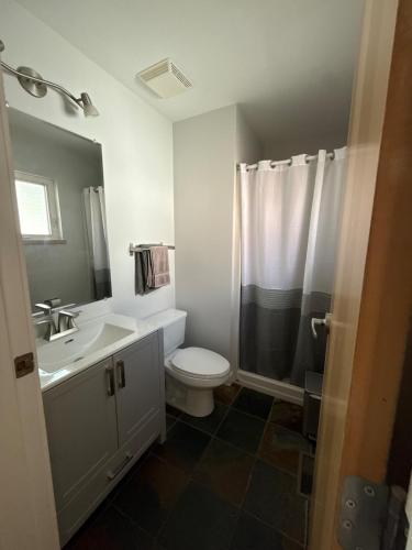 a bathroom with a toilet and a sink and a shower at The Hanson Hideaway in Whitehorse