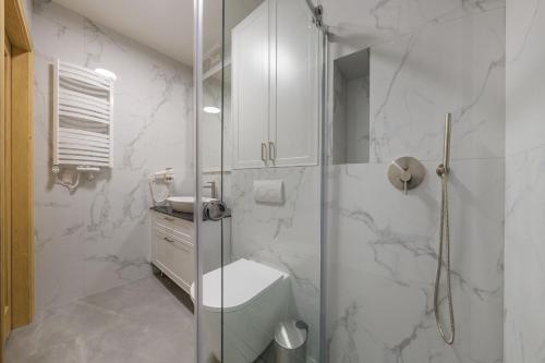 a bathroom with a shower with a toilet and a sink at Apartamenty MAREA in Jurata