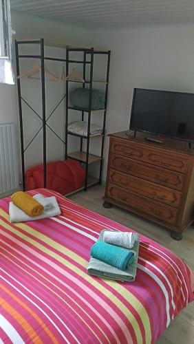 a bedroom with a bed and a tv and a dresser at Halte à Veyrac in Lavoûte-sur-Loire
