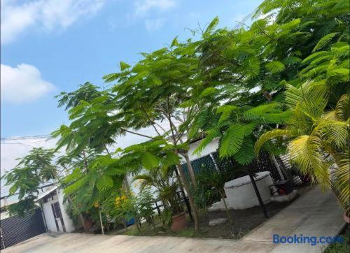 a group of palm trees in front of a house at Villas La Vista in Tuxpan de Rodríguez Cano