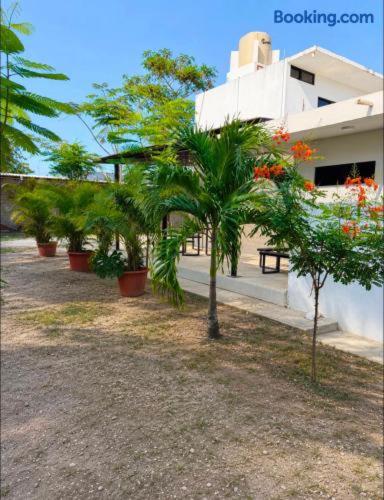 a group of palm trees in front of a building at Villas La Vista in Tuxpan de Rodríguez Cano