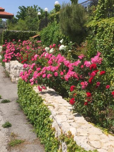 a garden with pink flowers on a stone wall at Lesnasr chalet apartments in Al ‘Aqabah