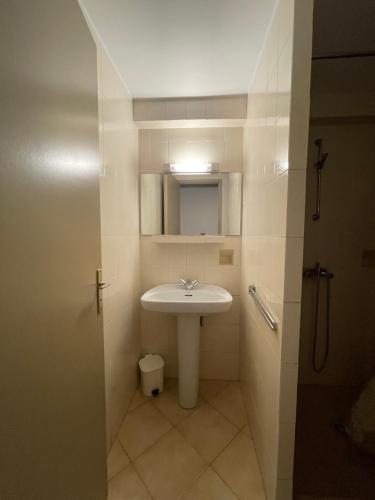 a bathroom with a sink and a mirror at Locations proche de la plage de Barcaggio accessible par une piste en terre de 3,5 kilometres de Tizzano en voiture in Sartène