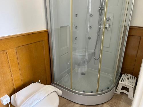 a bathroom with a shower and a toilet at Studio in Tramelan