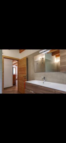 a bathroom with a bath tub and a sink at Baita PUPILLE in Osteria Alpina
