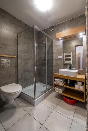 a bathroom with a shower and a toilet and a sink at Pod Reglami in Krościenko