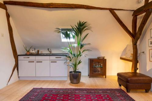 a kitchen with a potted plant in a room at Op de Klever in Schimmert