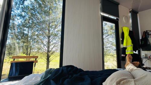 a person laying on a bed looking out a window at plain Bush in Bohena Creek