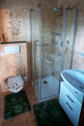 a bathroom with a shower and a toilet and a sink at Obernberg in Aurach bei Kitzbuhel