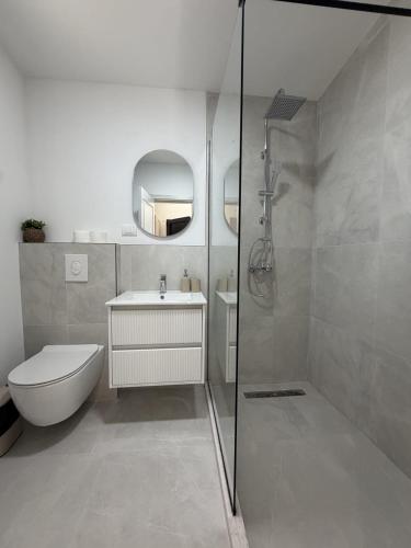 a bathroom with a shower and a toilet and a sink at Tommys Village in Ulcinj