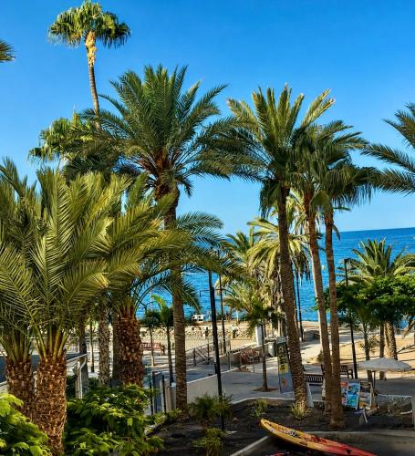 Guayero Palm View, Sea at 50m, Beach at 100m