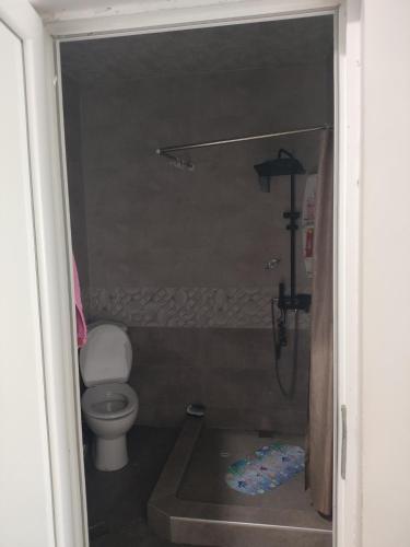 a small bathroom with a toilet and a shower at Deako in Kobuleti