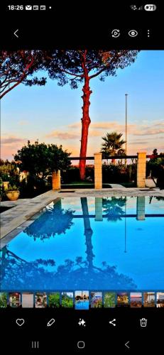 a picture of a swimming pool with a palm tree at Villa Kepos in Arnesano