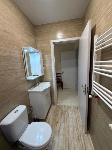 a bathroom with a toilet and a sink and a mirror at kaprovani Kako in Shekhvetili