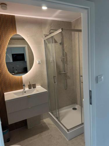 a bathroom with a shower and a sink at Róża- Lotnisko in Wrocław