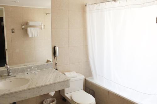 a white toilet sitting next to a sink in a bathroom at Hotel Leonardo da Vinci in Santiago