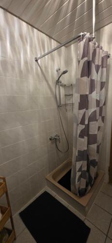 a shower with a shower curtain in a bathroom at Ferienwohnung FeLuMi in Wadgassen