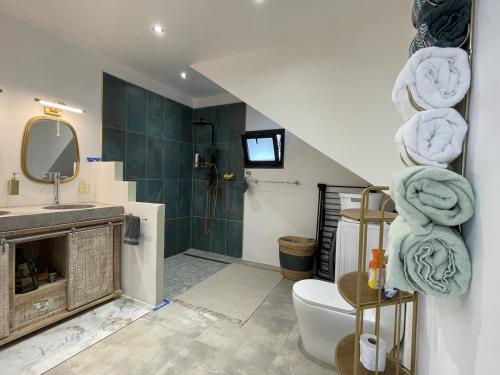 a bathroom with a shower and a toilet and a sink at La Kazbanon in La Possession