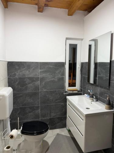 a bathroom with a toilet and a sink at VikendicaDM in Hrvačići