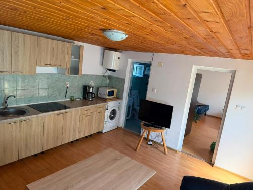 a kitchen with a sink and a tv in a room at Casa Baciului,Cluj-Napoca in Cluj-Napoca