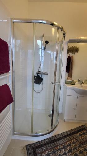 a glass shower in a bathroom with a sink at Schubert's in Bruckneudorf