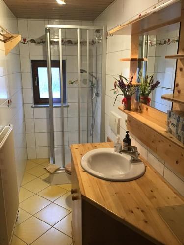 a bathroom with a sink and a shower at FEWO Schulze Jonsdorf, Waldblick in Kurort Jonsdorf