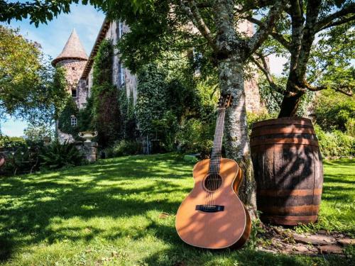 a guitar sitting on the grass next to a tree at Château de Taussac in Taussac