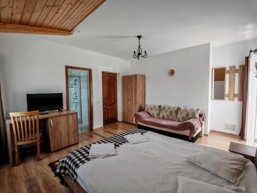 a bedroom with a bed and a couch and a television at Maramures Landscape in Moisei