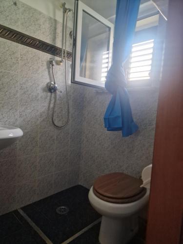 a bathroom with a toilet and a window and a shower at Frangio' in Noci