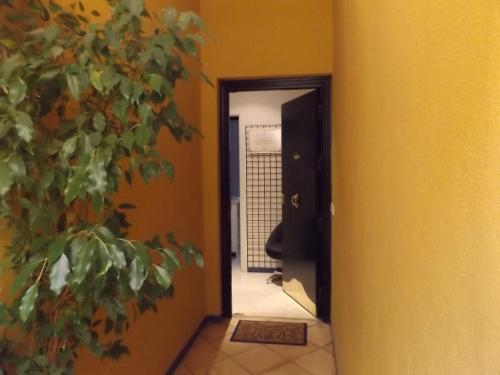 Alameda Donkey Parking