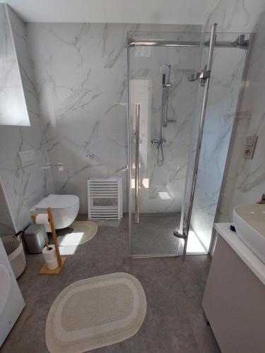 a bathroom with a shower and a toilet and a sink at Nowy Zakątek in Paszkówka