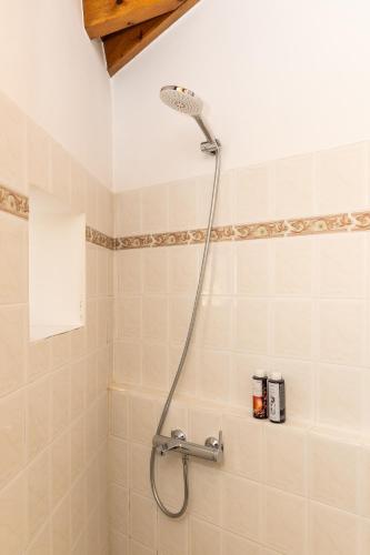 a shower with a shower head in a bathroom at Emerald Courtyard House in Kranidi