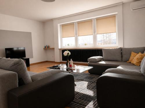 Apartment Check In Zagreb Maksimir-free parking