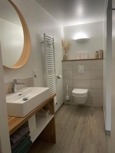 a bathroom with a sink and a toilet and a mirror at Le Moulin de St André in Saint-André-en-Morvan