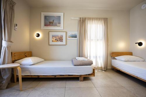 a room with two beds and a window at SPNI Ein Gedi Field School in Ein Gedi